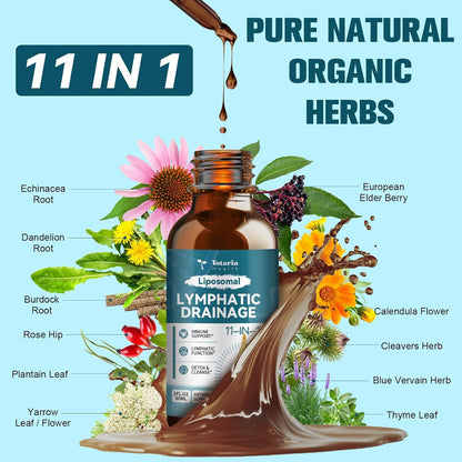 Liposomal Lymphatic Drainage Drops – 11-in-1 Herbal Detox Support