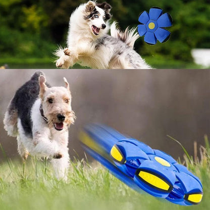 Magic Meta Bouncing & Flying Saucer Ball
